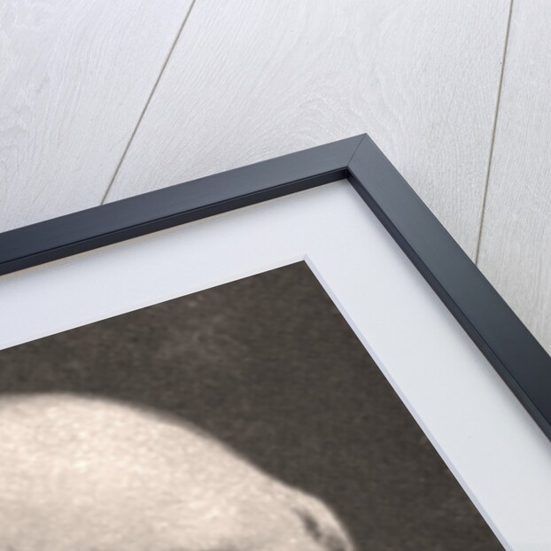 H.R.H, PR. Christian of SG-Holstein by WD & HO Wills