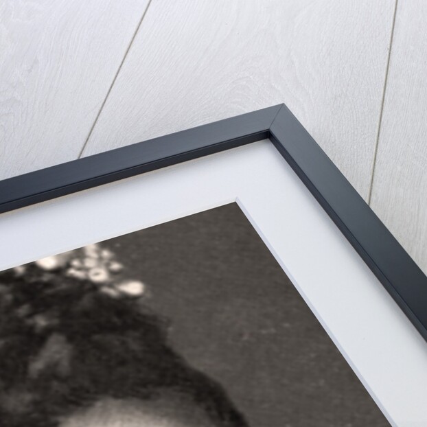 H.M The Queen of Denmark by WD & HO Wills