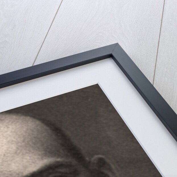 H.R.H The Duke of Sparta by WD & HO Wills