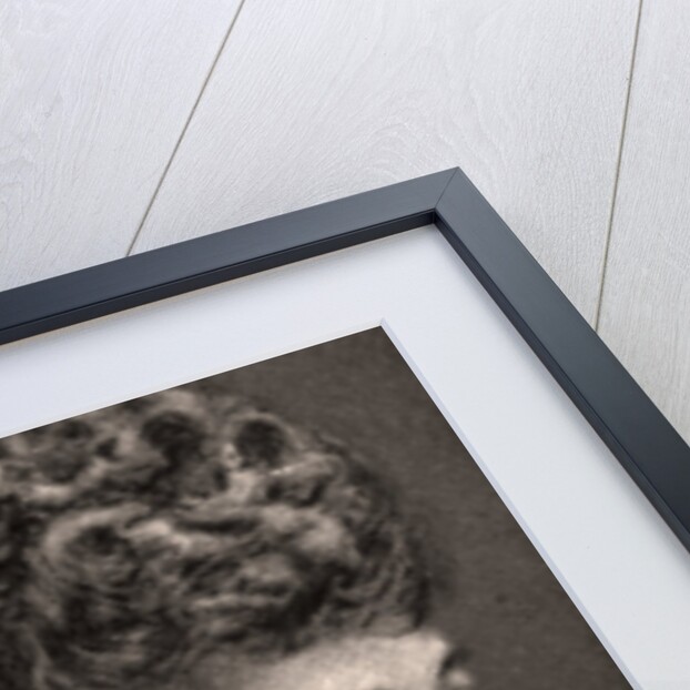 H.R.H Princess Bernard of Saxe-Meiningen by WD & HO Wills