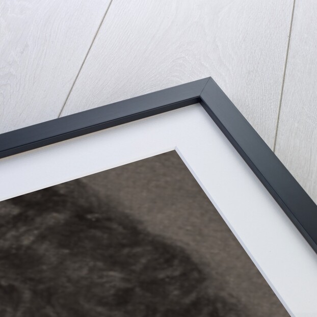 H.R.H Princess Adolphus of Schaumburg-Lippe by WD & HO Wills