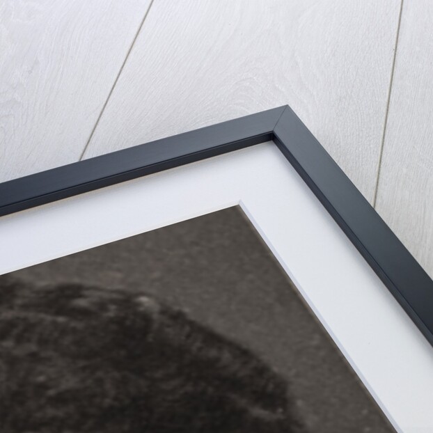 H.I.H Princess Nicholas of Greece by WD & HO Wills