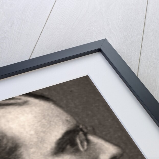 H.R.H Prince Andrew of Greece by WD & HO Wills