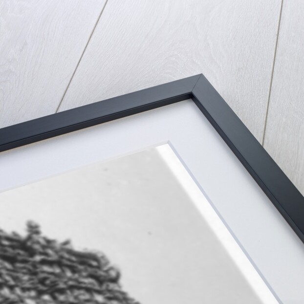 Pyramid Tower, Tiruchendur, Tamil Nadu, India by Anonymous