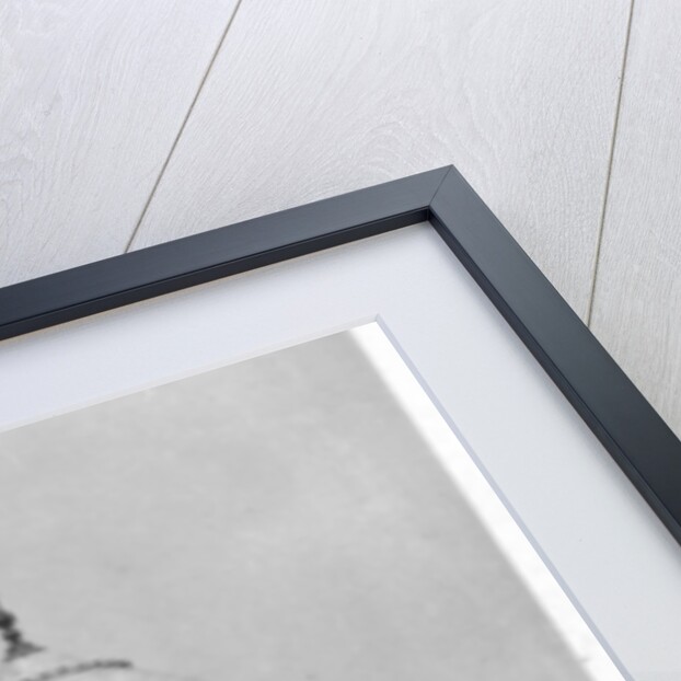 Taj Mahal, Agra, Uttar Pradesh, India by Anonymous