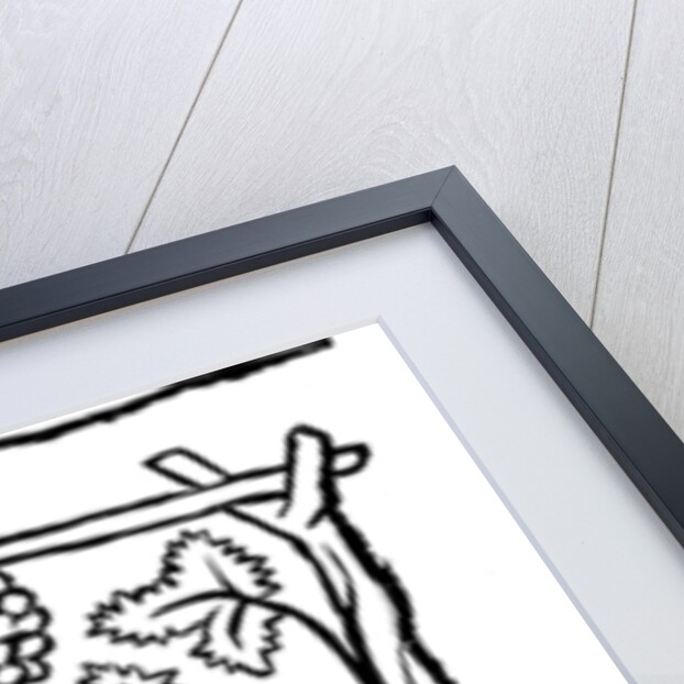 The Fox and the Grapes by Anonymous