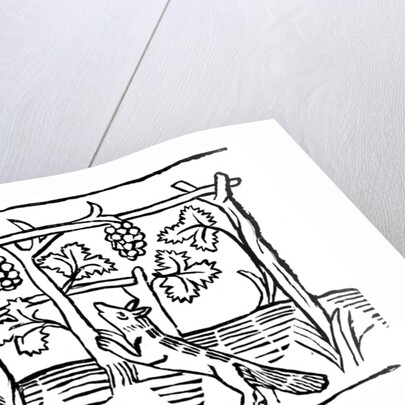 The Fox and the Grapes by Anonymous