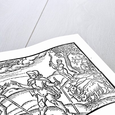 February by Anonymous