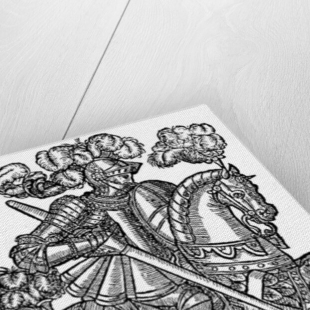 The Redcrosse Knight by Anonymous