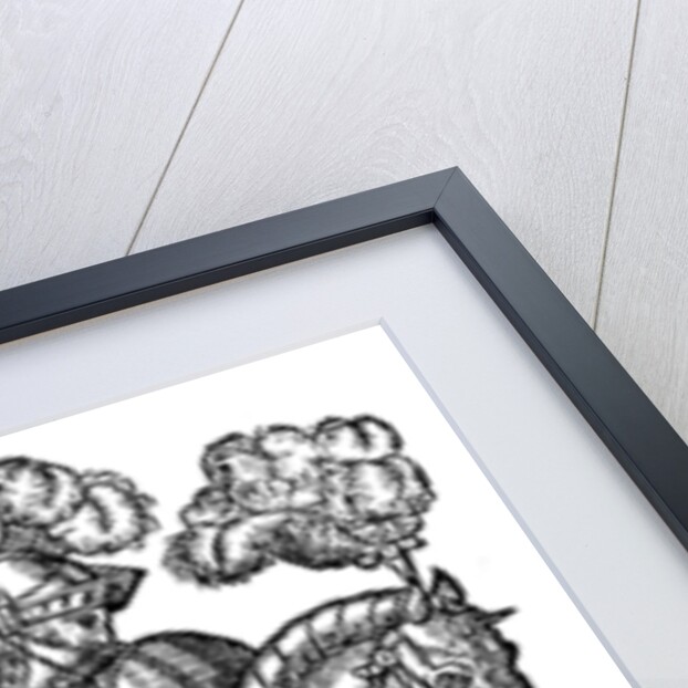 The Redcrosse Knight by Anonymous