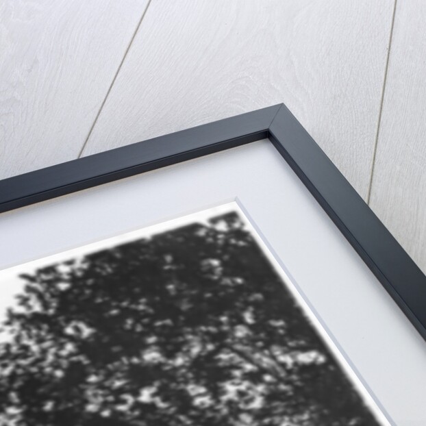 Kingswear, Devon by Anonymous