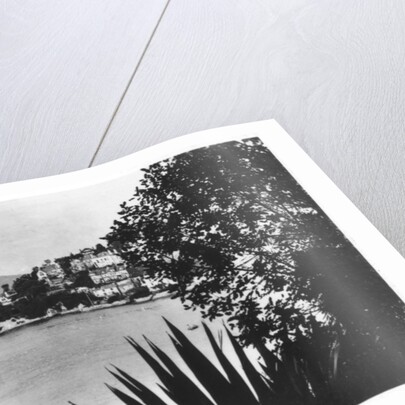 Kingswear, Devon by Anonymous