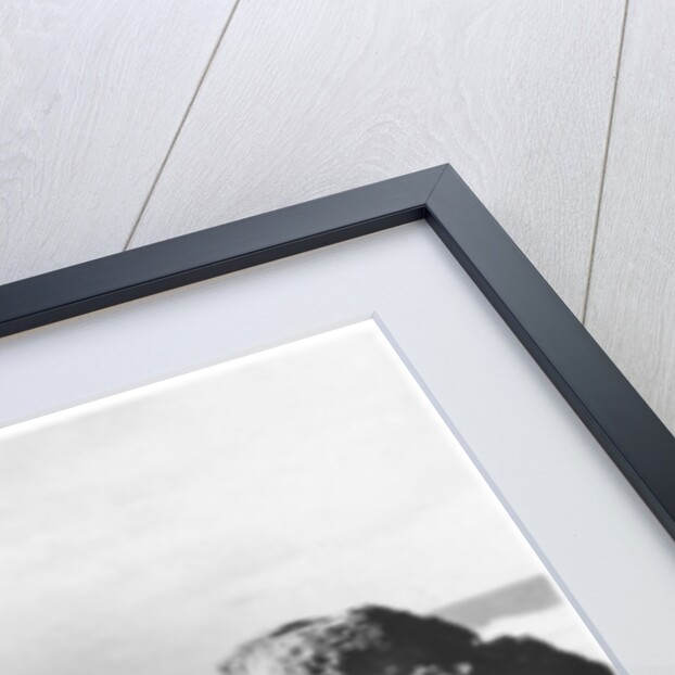 Trevaunance Cove, Cornwall Coast by Anonymous