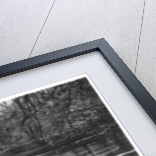 Horse Shoe Falls, Llangollen by Anonymous