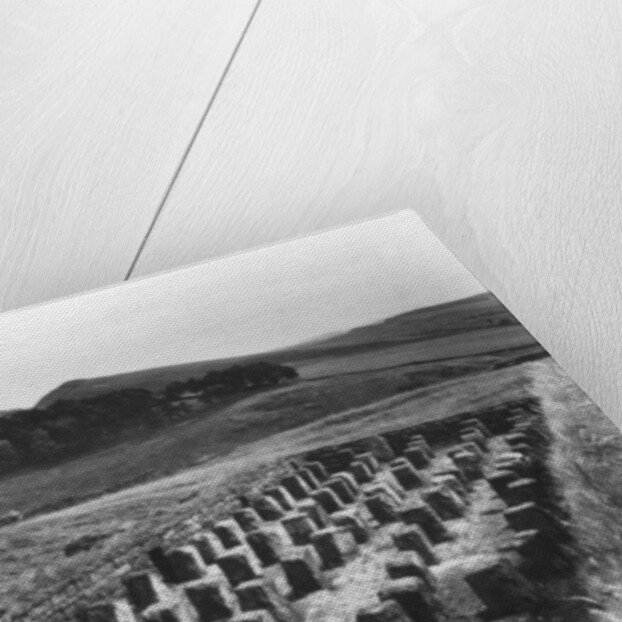 The Roman Wall, Housesteads, Northumberland by Anonymous