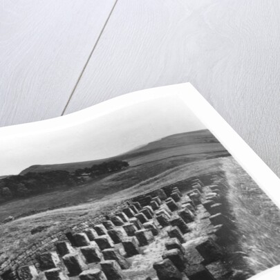 The Roman Wall, Housesteads, Northumberland by Anonymous