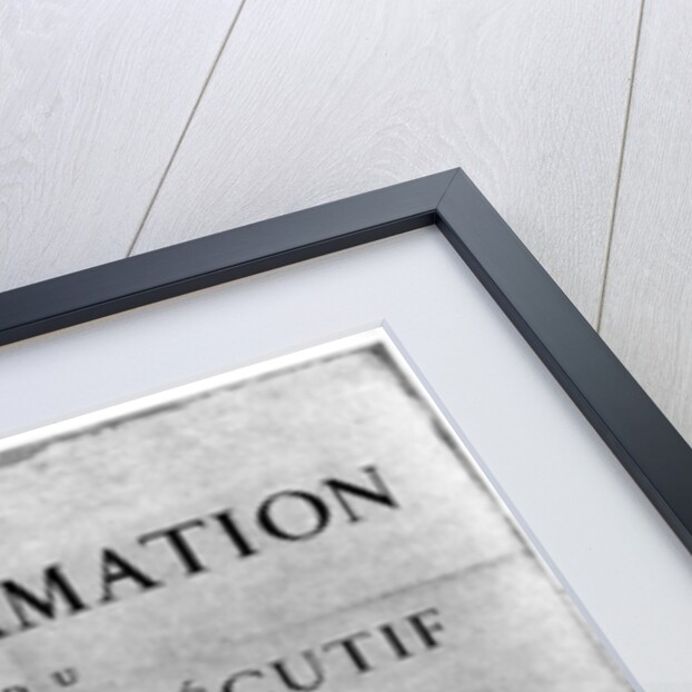 Proclamation of the order for the execution of Louis XVI of France by Anonymous