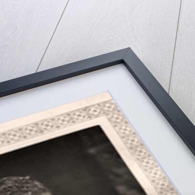 Alexandra of Denmark, Princess of Wales by W&D Downey