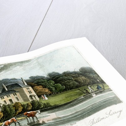 Lady Sulivan's Villa, Thames Ditton, Surrey, England by I Hassell