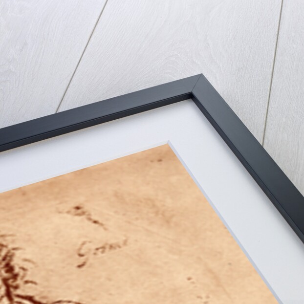 Hercules Killing the Lion by Cosimo Tura