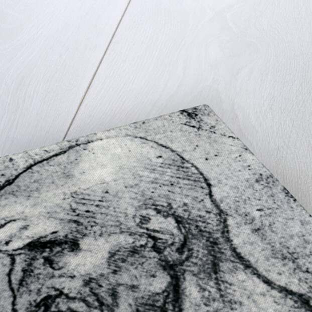Head of an Old Man by Leonardo Da Vinci