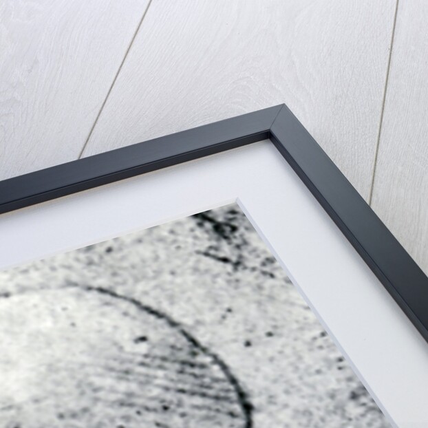 Head of an Old Man by Leonardo Da Vinci