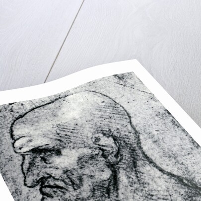 Head of an Old Man by Leonardo Da Vinci