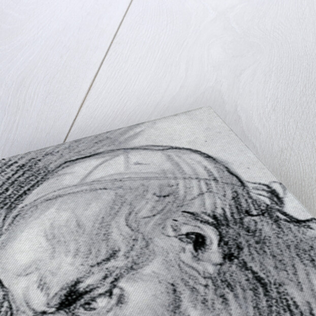 Study of a head by Jean-Antoine Watteau