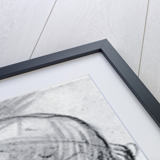 Study of a head by Jean-Antoine Watteau