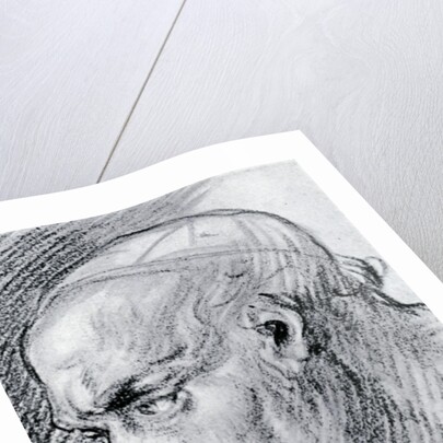 Study of a head by Jean-Antoine Watteau