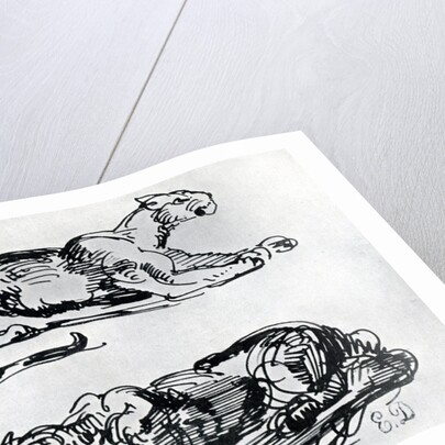 Studies of Panthers by Eugène Delacroix