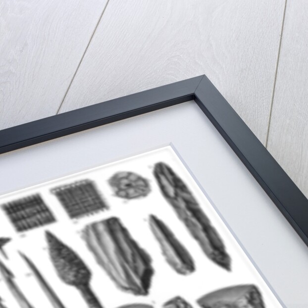 Neolithic antiquities by Anonymous