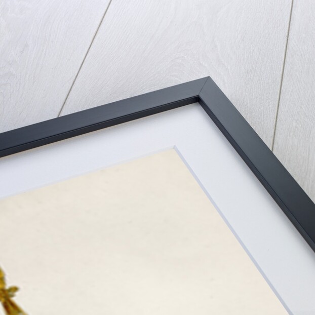 Standing bowl and cover of silver gilt by Robert Blemmell Schnebbelie