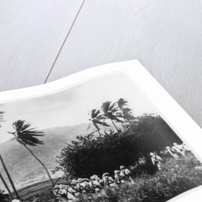 A navy landing party, St Kitts, West indies by Anonymous