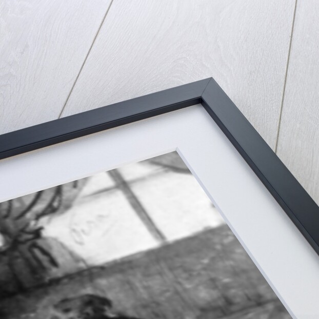 A Lady with her Dog by Constantin Guys