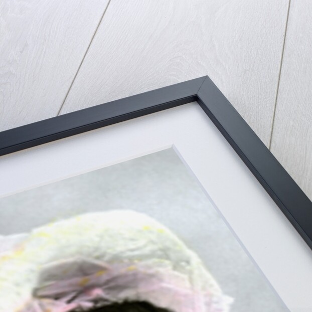 Gaynor Rowlands (1883-1906), English actress by Johnston & Hoffman