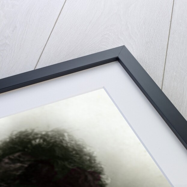 Lily Hanbury (1874-1908), English actress by Reinhold Thiele