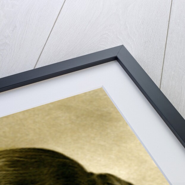 Gladys Cooper (1888-1971), English actress by Dover Street Studios