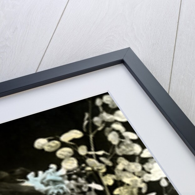 Madge Lessing (1866-1932), German actress by Dover Street Studios