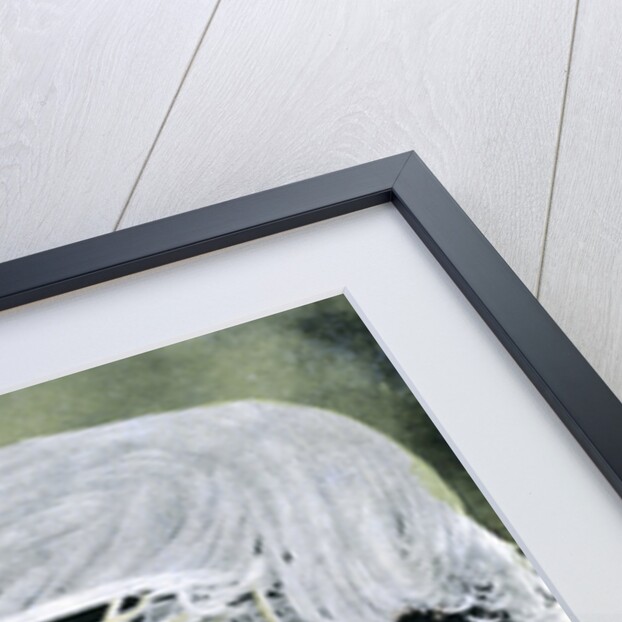 Edna May (1878-1948), American singer and actress by Anonymous