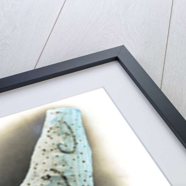 Delacour (Folies-Bergere) by Walery