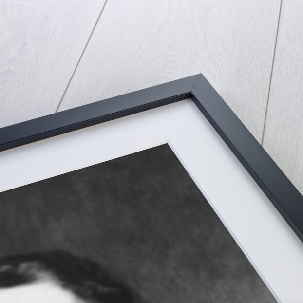 Felix Mendelssohn (1809-1847), German composer by Rotary Photo