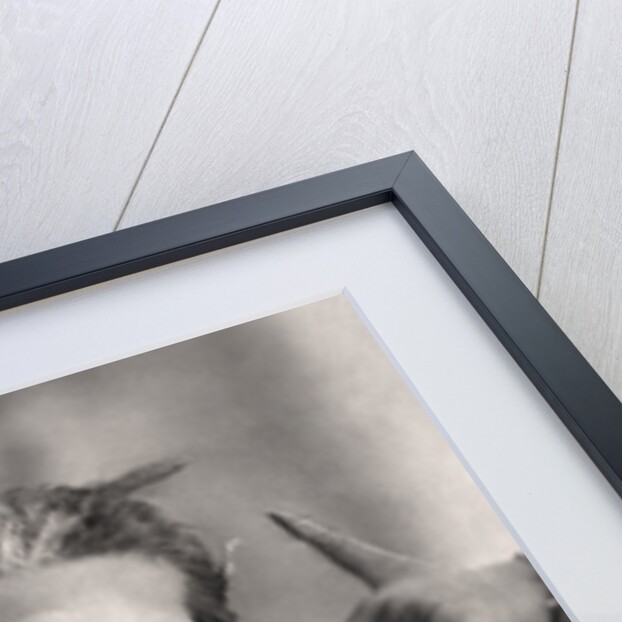 George Grossmith (1847-1912), English comedian, writer and actor by Rotary Photo