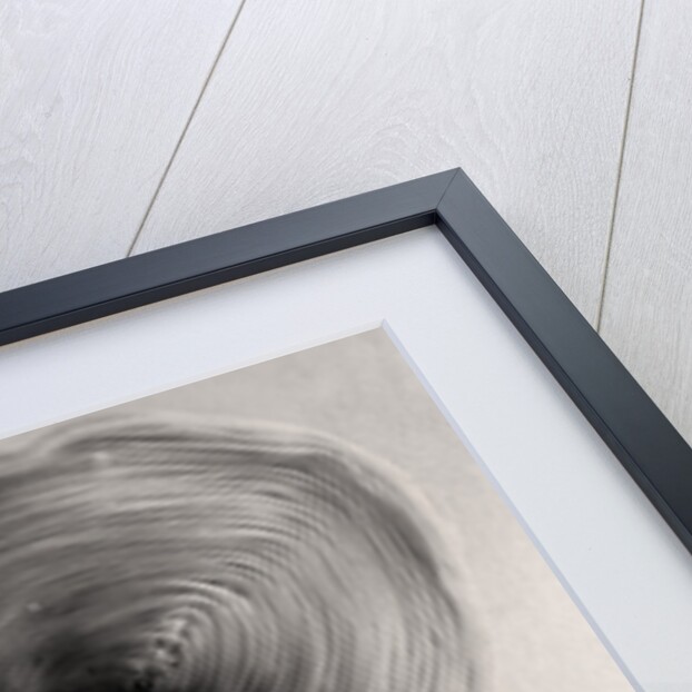 Camille Clifford (1885-1971), Belgian actress by Rotary Photo