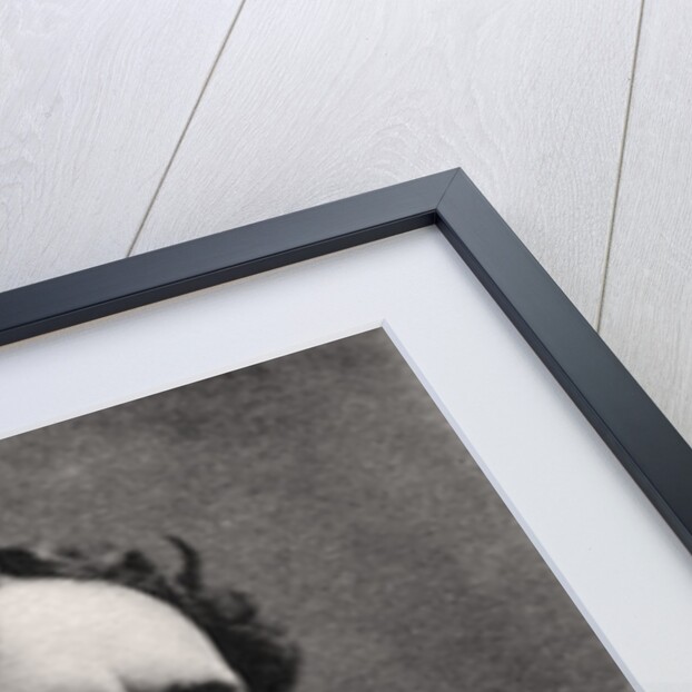 Harry Brodribb Irving ((1870-1919), English actor by Anonymous