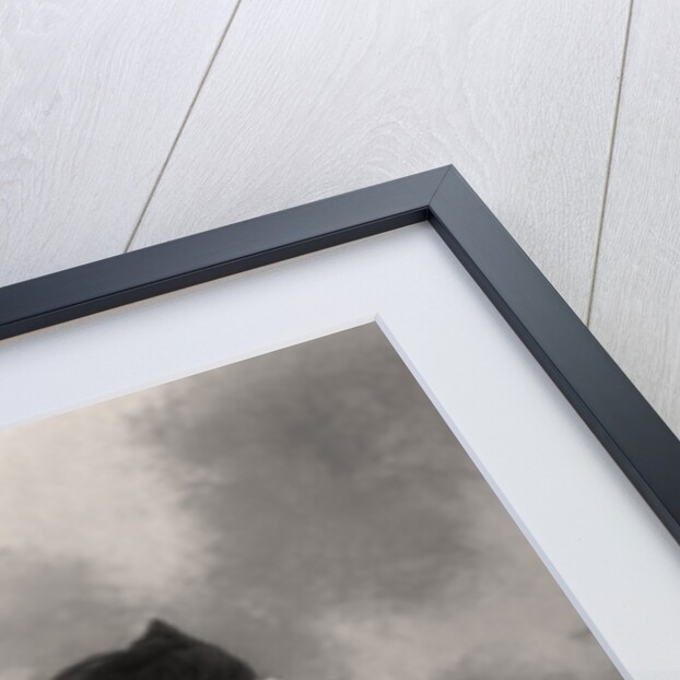 Isabel Jay (1879-1927), opera singer and actress by Foulsham and Banfield