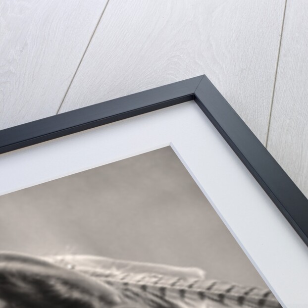 Evelyn Millard (1869-1941), English actress by Foulsham and Banfield