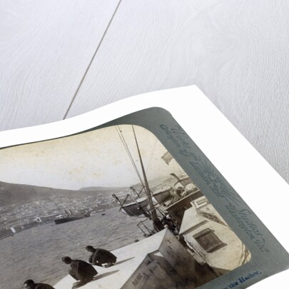 Hong Kong from the harbour by Underwood & Underwood
