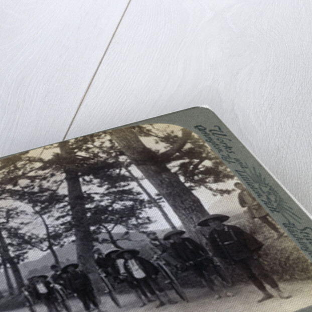 How foreigners travel in Japan by Strohmeyer and Wyman