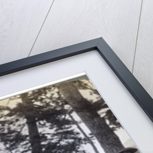 How foreigners travel in Japan by Strohmeyer and Wyman